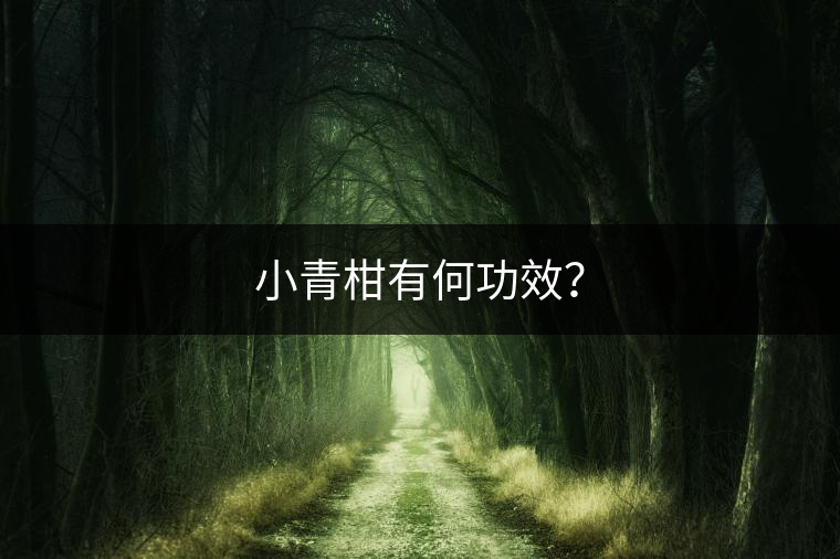 小青柑有何功效？