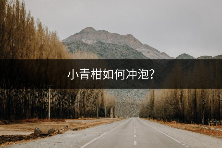 小青柑如何沖泡？