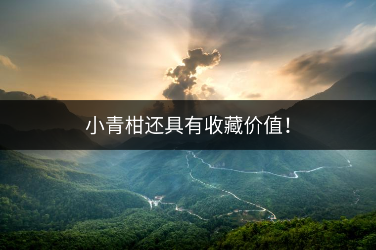 小青柑還具有收藏價(jià)值！