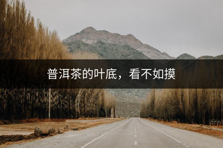 普洱茶的葉底，看不如摸