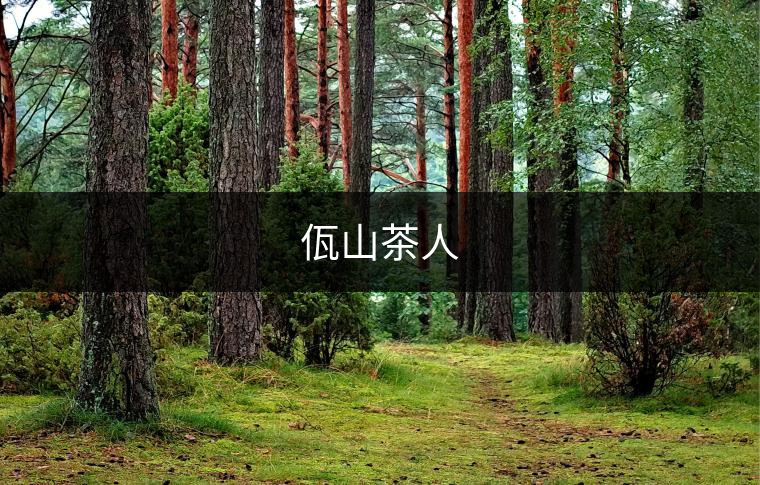 佤山茶人