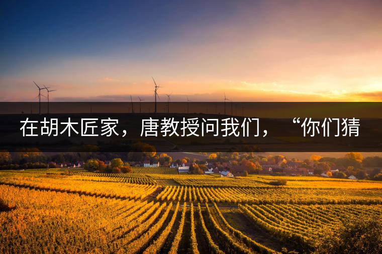 在胡木匠家，唐教授問我們，“你們猜猜他們家的茶放在哪里？”我們回答廚房、客廳都不對(duì)，“難道像寺院一樣，有專門的茶房不成？”教授和木匠都哈哈大笑，連連搖頭。在木匠的帶領(lǐng)下，我們來到主人的臥室，茶磚整齊有序地堆放在床頭柜里。一家之主的臥室，既是休息之所，亦是一家財(cái)富與傳家寶的收藏地。茶之精貴，毋需多言。