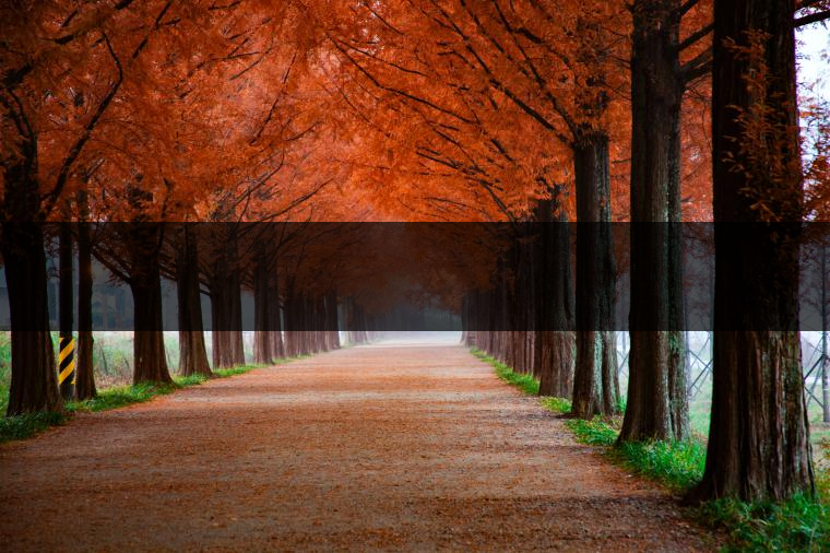 這樣的茶葉邊疆文化，也許是明代大學(xué)者解縉最樂意見到的。他曾說，中原最好的東西就是茶，而番人最好的就是馬。他贊同明廷茶馬互市的國(guó)策：茶之于夷人，如同中國(guó)之酒醴，因?yàn)椴桉R貿(mào)易，許多夷人也開始學(xué)習(xí)中國(guó)的知識(shí)，對(duì)中國(guó)也有了向慕之心，那么茶的作用就很顯然，茶有著“夷夏之交，義利之辨，寅賓尚忠信而篤敬，河州固唐虞三代之邦也?！?茶不僅僅是一種飲品，還有其他。茶作為媒介，體現(xiàn)了觀念的變化。如今，隨著茶的傳播，各族人民有了更深入往來，通過貿(mào)易、文化、旅游等等。
陳渠珍從西藏抵達(dá)湟源區(qū)域時(shí)，也為這里的古風(fēng)所震驚：“余皆漢番雜處。風(fēng)俗婦女尚餞足，裙下蓮步不及三寸，服飾既古，文化尤卑，鄰居為私塾，當(dāng)見一生久讀不能成誦，塾師罰之跪，以草圈罩頭上，頻加籌石，令其跪誦。余見駭然。”

?
（摘自《海峽茶道》，2013年5期）