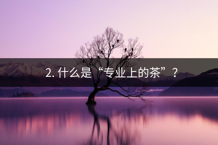 ? 2. 什么是“專業(yè)上的茶”？