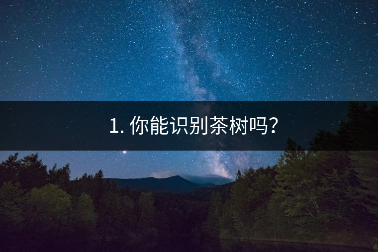 ??1. 你能識別茶樹嗎？