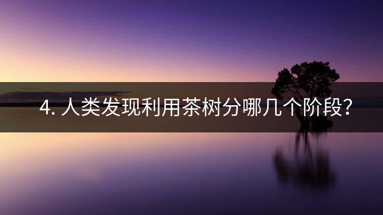 ? 4. 人類發(fā)現(xiàn)利用茶樹分哪幾個階段？