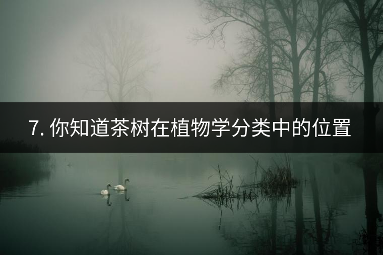 ??7. 你知道茶樹在植物學(xué)分類中的位置嗎？