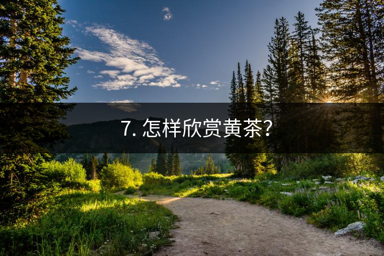 ? 7. 怎樣欣賞黃茶？