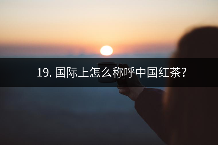 ? 19. 國際上怎么稱呼中國紅茶？