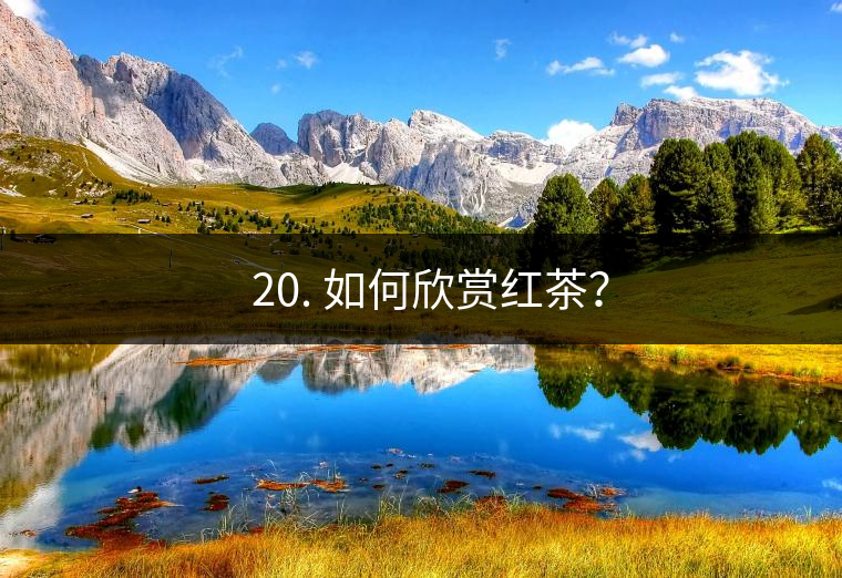? 20. 如何欣賞紅茶？
