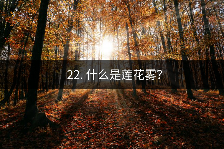 ? 22. 什么是蓮花霧？