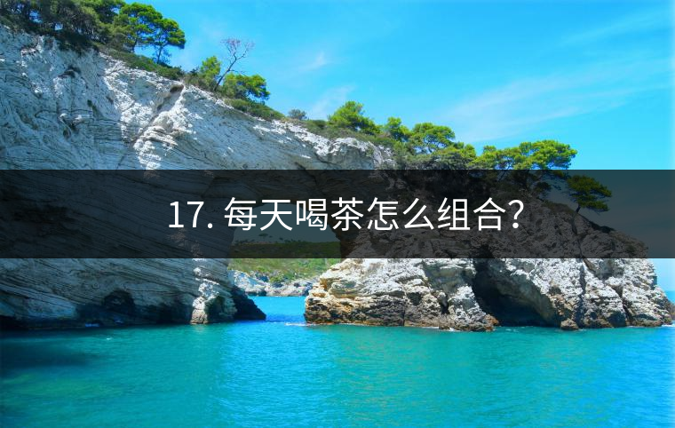 ? 17. 每天喝茶怎么組合？