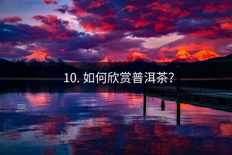 ? 10. 如何欣賞普洱茶？