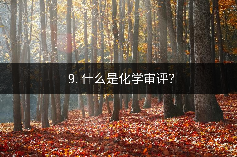 ? 9. 什么是化學(xué)審評？