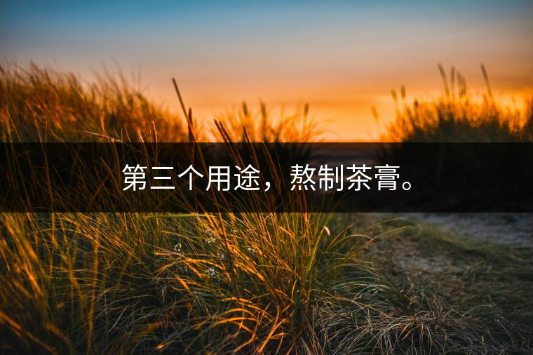第三個用途，熬制茶膏。
