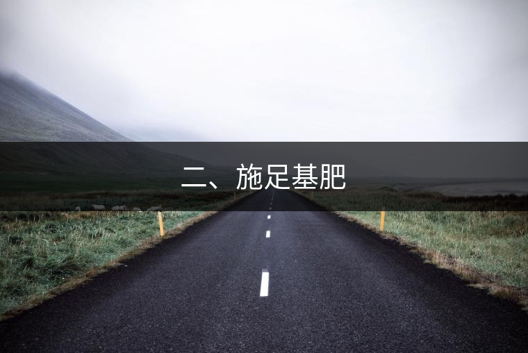 二、施足基肥