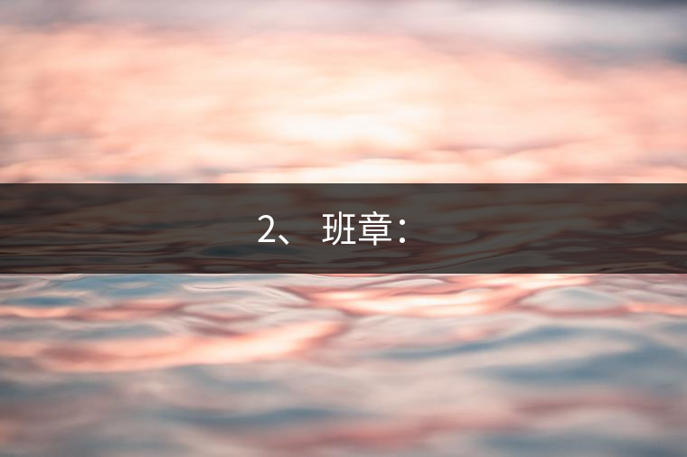 2、 班章：?