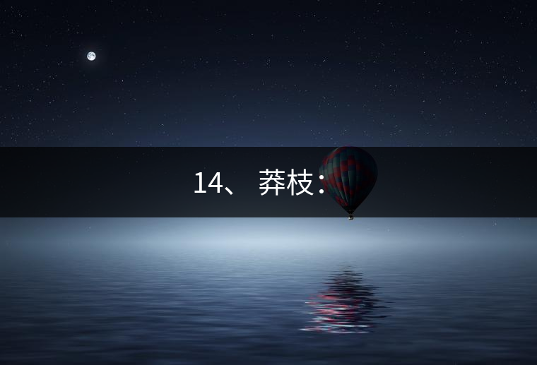 14、 莽枝：?