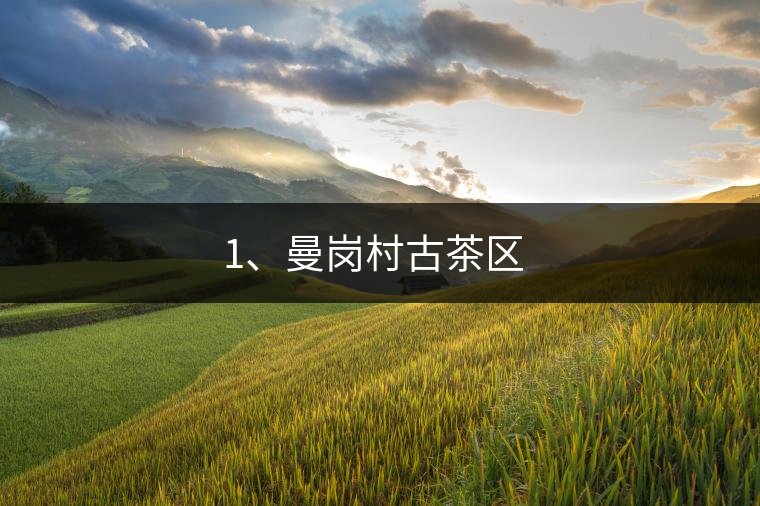 1、曼崗村古茶區(qū) ?