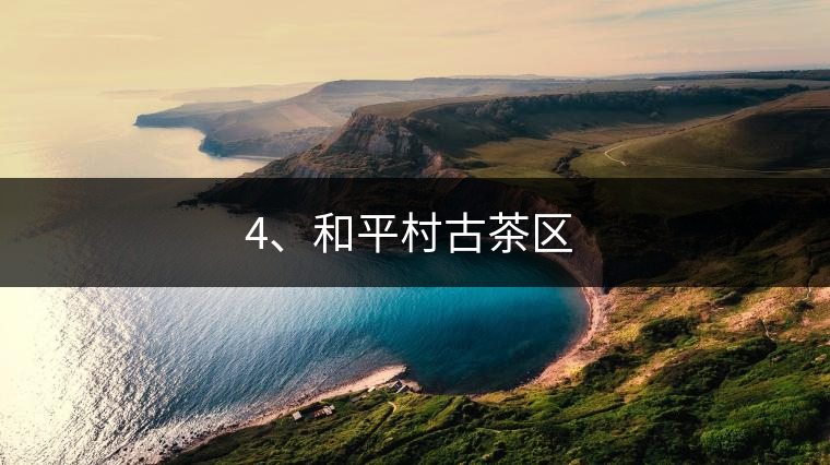 4、和平村古茶區(qū) ?