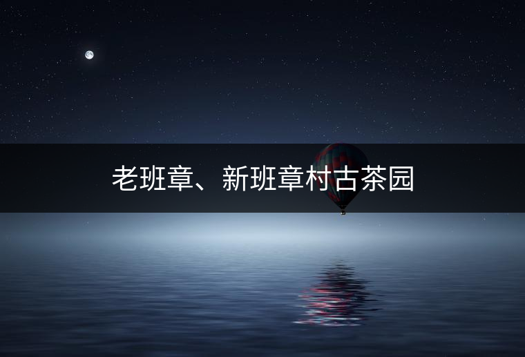 老班章、新班章村古茶園