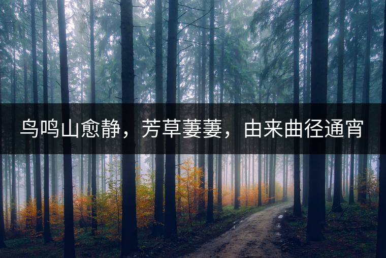 鳥鳴山愈靜，芳草萋萋，由來曲徑通宵漢。