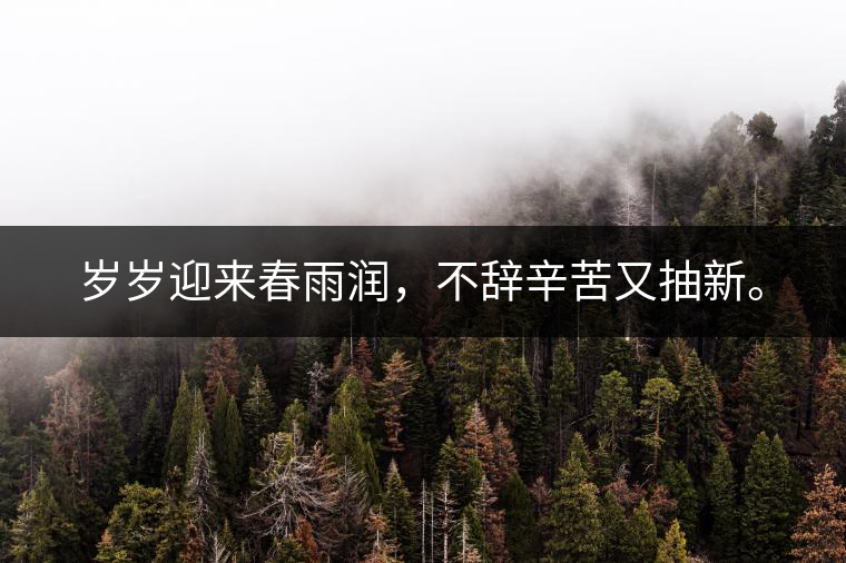 歲歲迎來春雨潤，不辭辛苦又抽新。