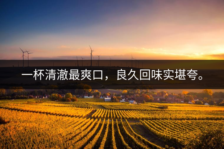 若能一日車船至，從此美名滿天涯。