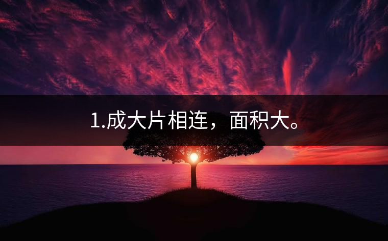 1.成大片相連，面積大。