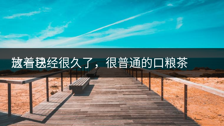 這一塊
放著已經(jīng)很久了，很普通的口糧茶，煙味很重，但回甘也可以，隨意喝喝吧。