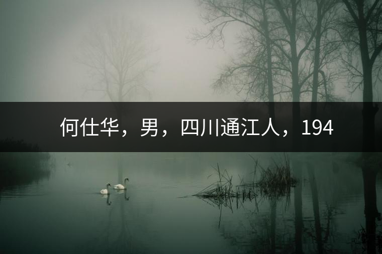 　　何仕華，男，四川通江人，1942年7月生，高級(jí)工程師、副研究員，曾任云南省高級(jí)工程師高評(píng)委委員，云南省老科協(xié)茶葉分會(huì)副會(huì)長(zhǎng)，云南省普洱茶葉協(xié)會(huì)技術(shù)委員會(huì)副主任，云南省普洱茶研究中心研究員，獲覺農(nóng)勛章獎(jiǎng)、老茶人貢獻(xiàn)獎(jiǎng)，全國(guó)弘揚(yáng)茶文化突出貢獻(xiàn)獎(jiǎng)。