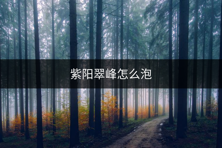 紫陽翠峰怎么泡