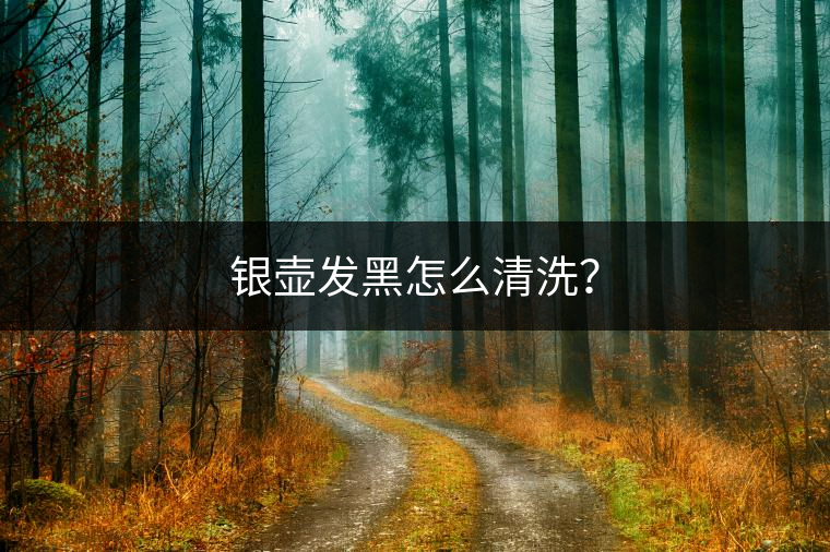 銀壺發(fā)黑怎么清洗？