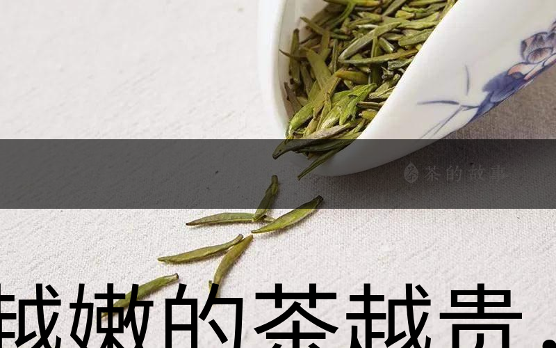 越嫩的茶越貴，但越貴的茶就越好嗎？-1