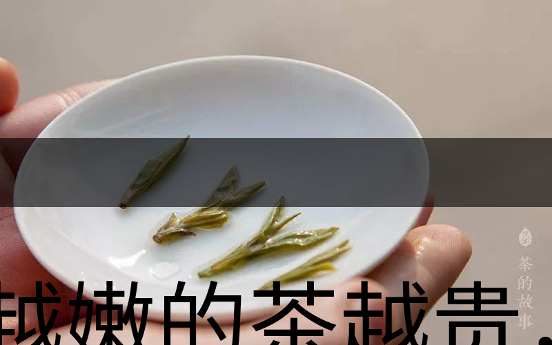 越嫩的茶越貴，但越貴的茶就越好嗎？-3