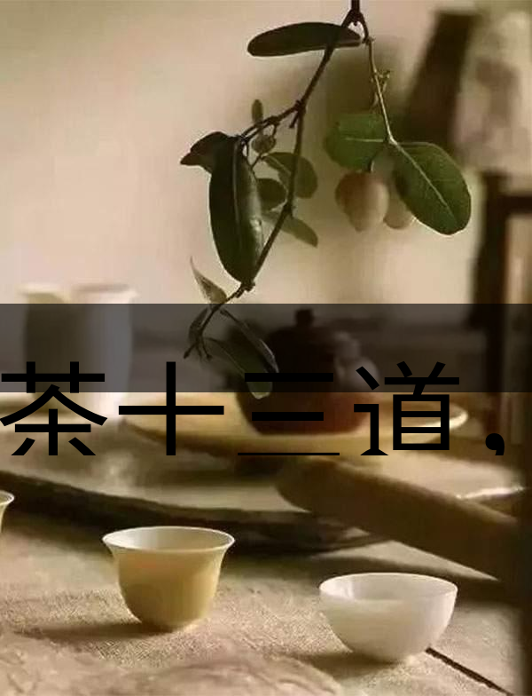 喝茶十三道，道道皆精華！-2