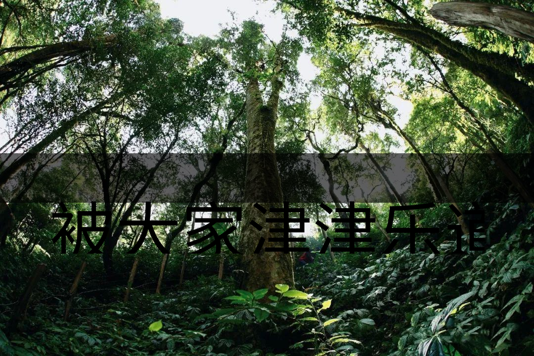 被大家津津樂(lè)道的森林茶，你知道是什么？-6-1