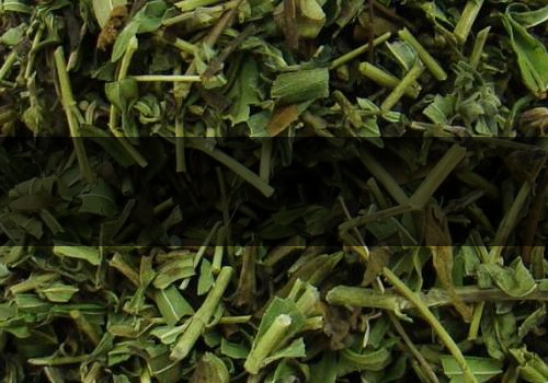 黃芩茶多少錢(qián)一斤-什么人不適合喝-1