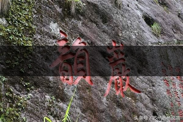 老楊說(shuō)茶：武夷尋茶之三：巖茶巖韻形成的四-2-1