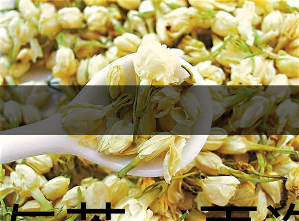 花與茶，再造茉莉之都——福州-1