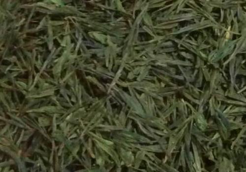 什么是海青茶？沖泡手法詳細(xì)教學(xué)！