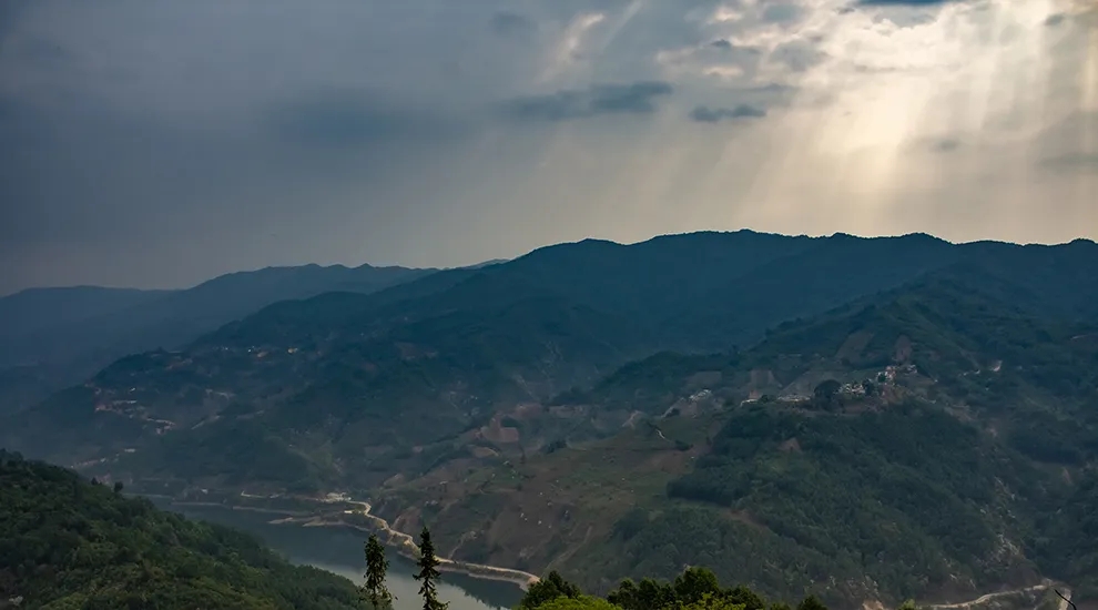 2021年磨烈：風(fēng)頭正勁的后起之秀，到底有何特點(diǎn)？