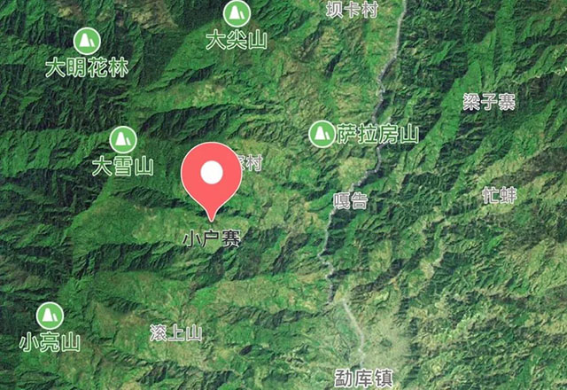 2021年小戶賽古樹秋茶有什么特點(diǎn)？