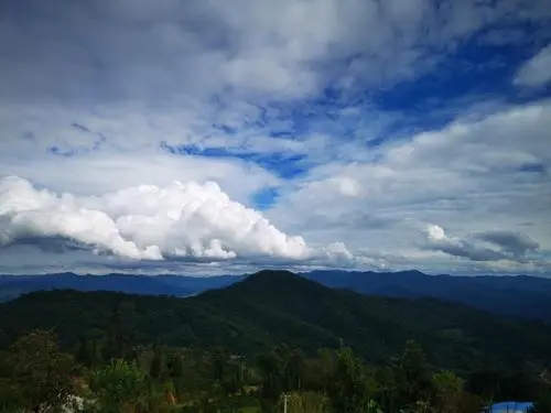 2021年那罕古樹秋茶口感？