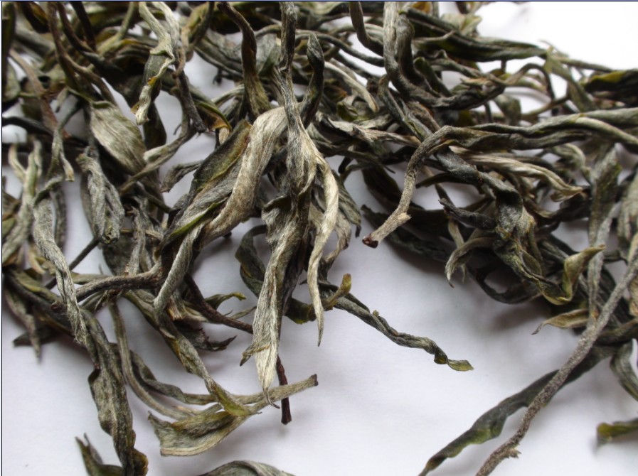 2021年馬鞍山古樹秋茶價(jià)格？