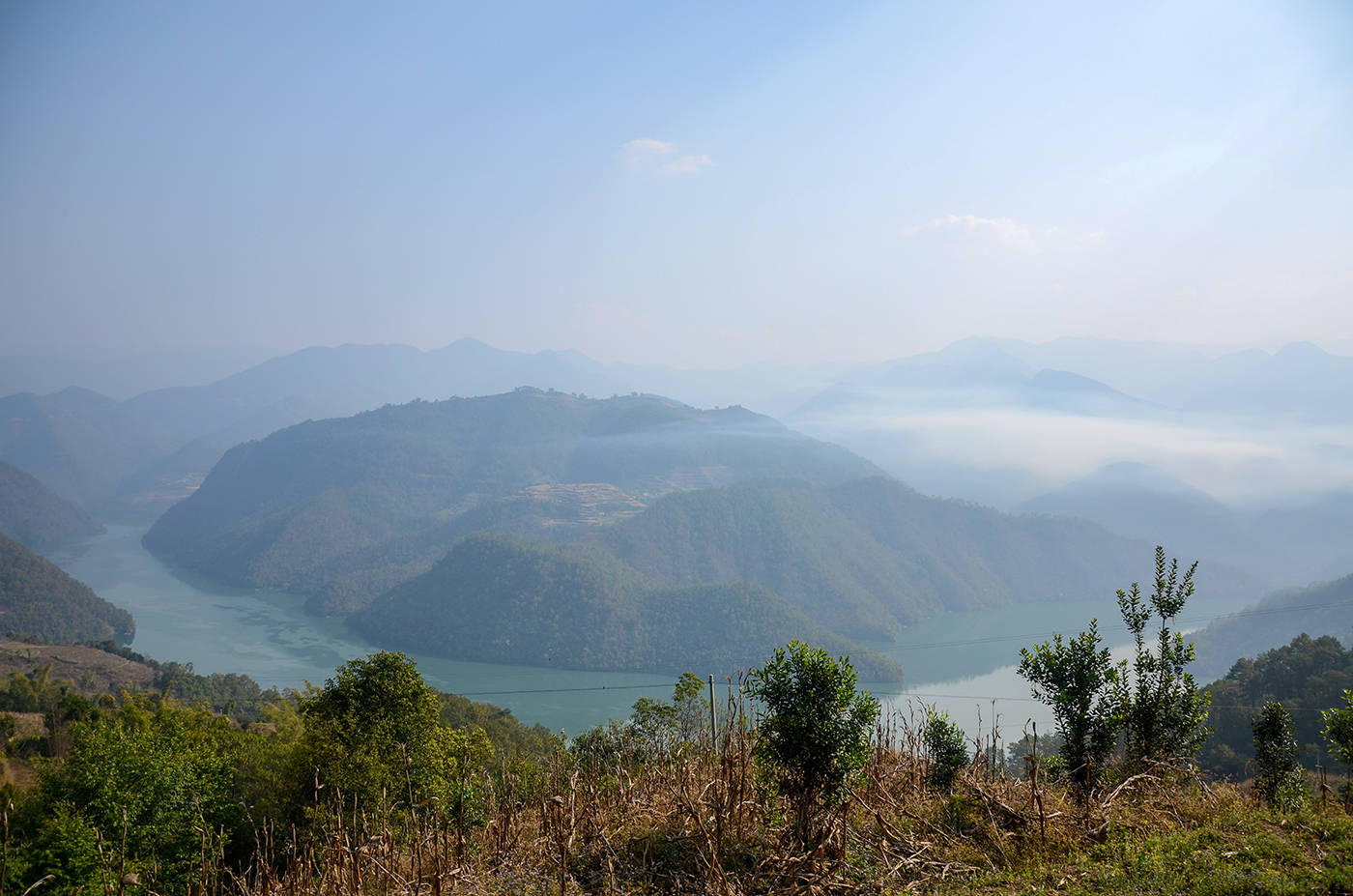 2021年白鶯山古樹秋茶，佛茶有什么魅力？
