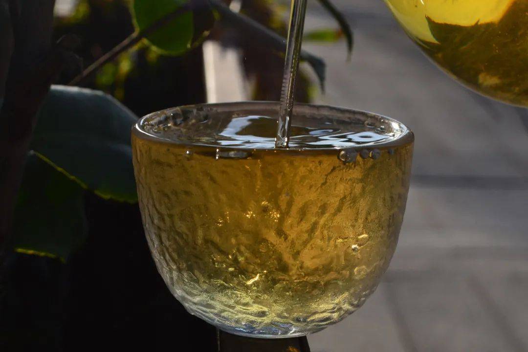 2021班章茶區(qū)壩卡竜古樹秋茶口感是什么？