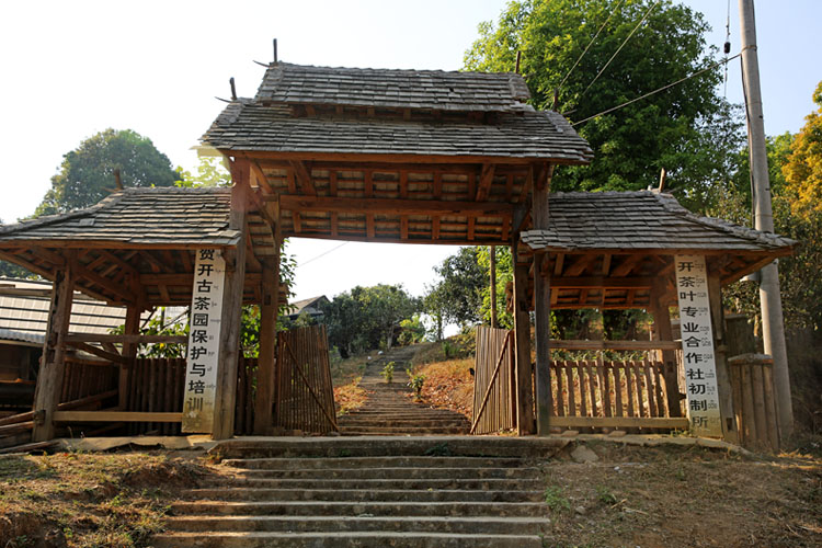 2021年賀開古樹秋茶特點(diǎn)？