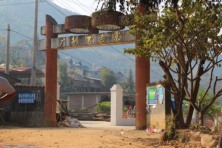 2021年廣別老寨古樹秋茶口感？