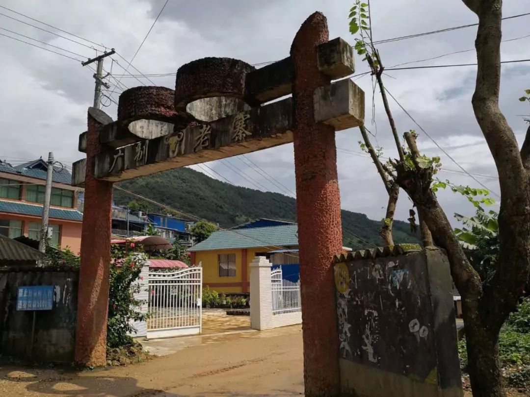 2021年廣別老寨古樹秋茶多少錢一公斤？